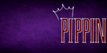 Pippin Twitter Header